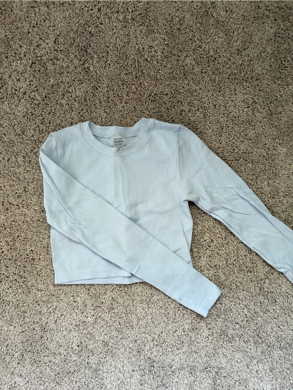 Aritzia Light Blue Ribbed Long Sleeve Tee